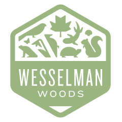 Wesselman Woods 2025 Summer Camp - logo